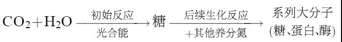 重視有機營養研究與有機碳肥創新 —關于植物(wù)營養經典理論的現代思考1.jpg